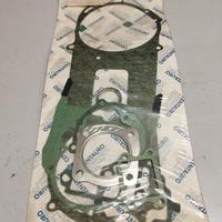 serie Guarnizioni motore Peugeot SV 125