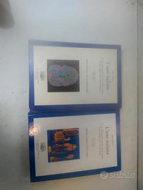 Adorno,P." L' arte italiana 1 in 2 tomi" D'Anna 