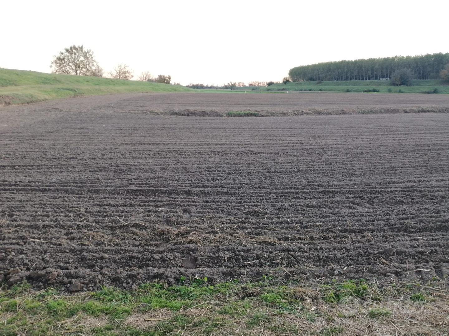 Terreno agricolo - Vista 2