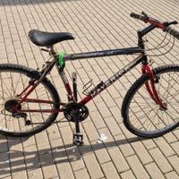 bicicletta 26 pollici 