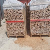 BANCALI FAGGIO SEGHERIA SECCA SECCA