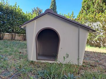 Cuccia cane