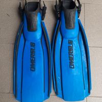 PINNE OMERSUB ICARUS