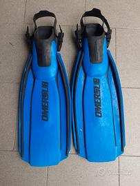 PINNE OMERSUB ICARUS