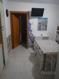 Vieste 2026 - E. Mattei - Gargano