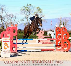 Cavallo italiano  