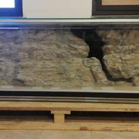 Terrario/Teca/Boa Constrictor Imperator/Serpente