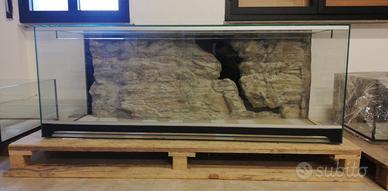 Terrario/Teca/Boa Constrictor Imperator/Serpente