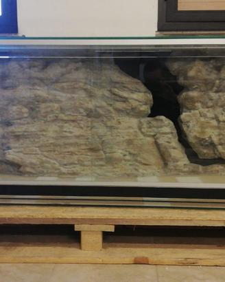 Terrario/Teca/Boa Constrictor Imperator/Serpente