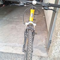 bicicletta mtb