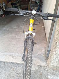 bicicletta mtb