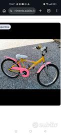 Bicicletta