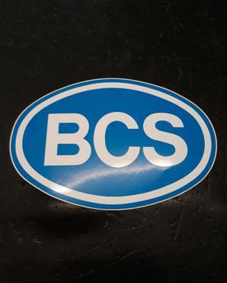 BCS ricambi motocoltivatori- motofalciatrici