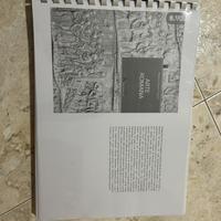 Arte romana, Massimiliano Papini