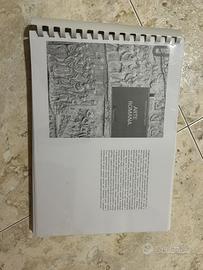 Arte romana, Massimiliano Papini