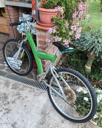 bicicletta Mountain bike 