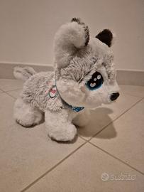 Happy Husky interattivo