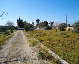 Terreno agricolo