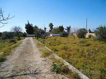 Terreno agricolo