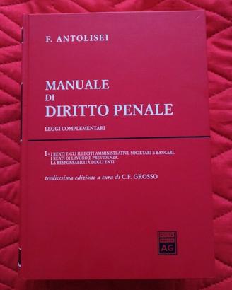 Manuale di diritto penale. Volume 1