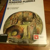 il nuovo pensiero plurale 3a 3b isbn 9788820136123