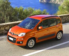 FIAT Panda 1.2 Easy **UNICO PROPRIETARIO/OK NEOP