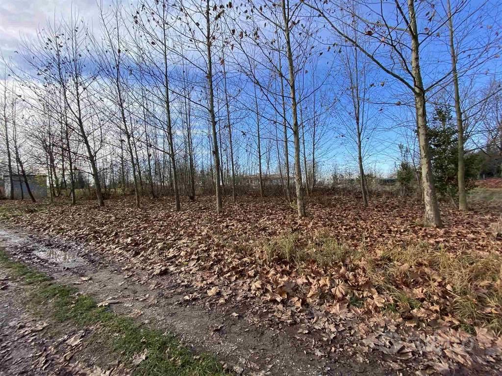 Terreno di 1100 m² a Teglio Veneto - Vista 3