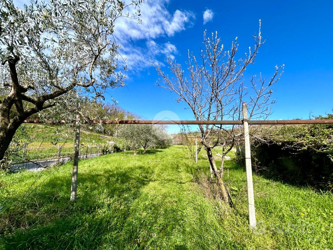 TER. AGRICOLO A BARDOLINO - Vista 3