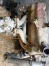 motore-usato-fiat-124-1-2-bz