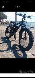 Bicicletta Elettrica 