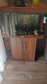 acquario juwel Rio 125