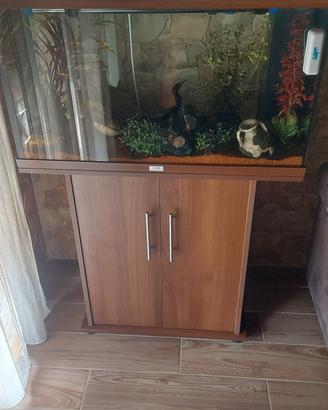 acquario juwel Rio 125