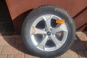 Kit invernale audi Q3