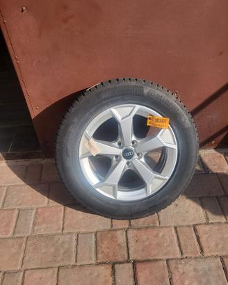 Kit invernale audi Q3