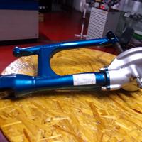 Forcellone cardano Suzuki intruder 600