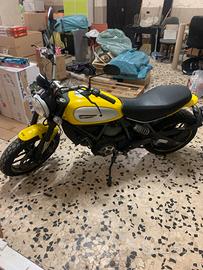 Ducati scrambler
