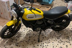 Ducati scrambler