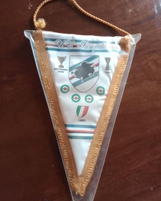 Gagliardetti sportivi