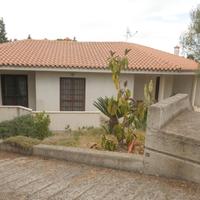 Poggio dei pini - villa con giardino