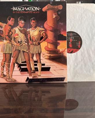 Imagination in the heat of the night vinile Nuovo