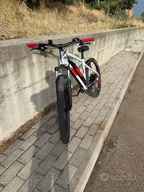 bici a pedalata assistita
