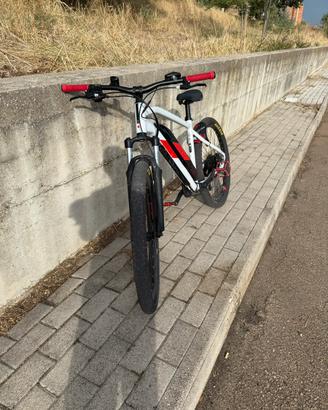 bici a pedalata assistita