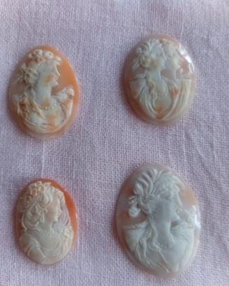 collezione cammei