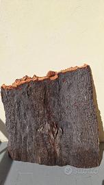 Corteccia sughero naturale