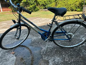 Biciclette vintage e moderne