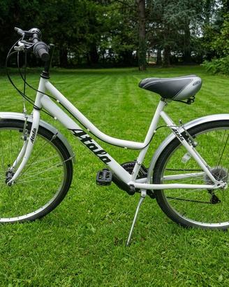 Bici mountain bike