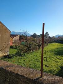 Terreno di circa mq.3.000 seminativo arborato