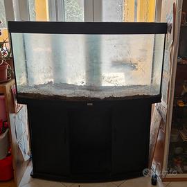 acquario usato