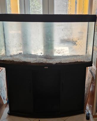 acquario usato