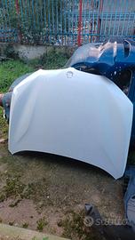 Cofano ant. Bmw X1 2016